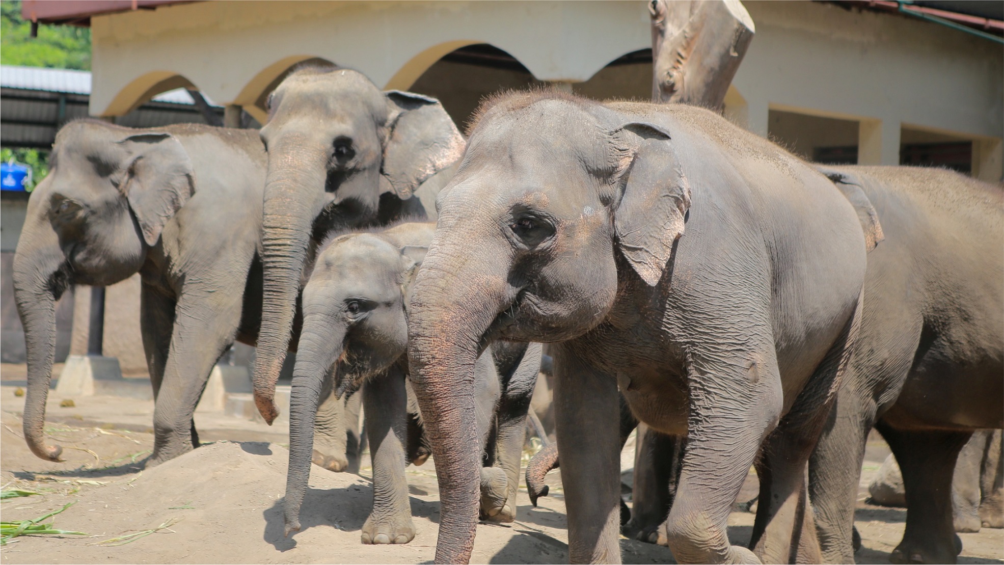 Gembira Loka Zoo